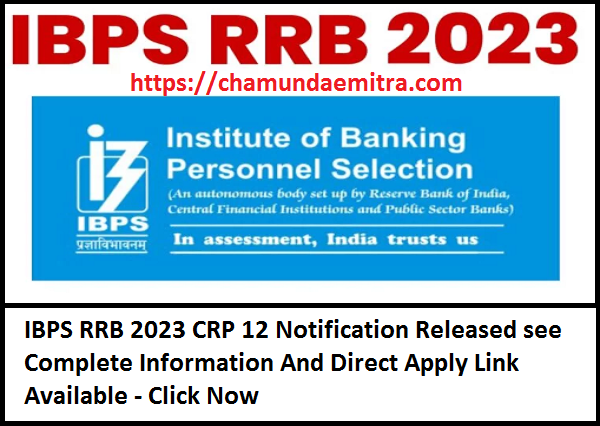IBPS RRB 2023 CRP 12 Notification Released
