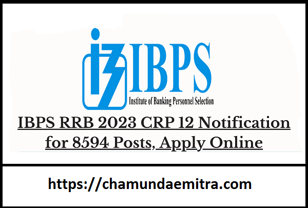 IBPS RRB 2023 CRP 12 Notification