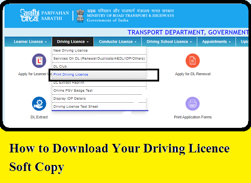 How to Download Your Driving Licence Soft Copy