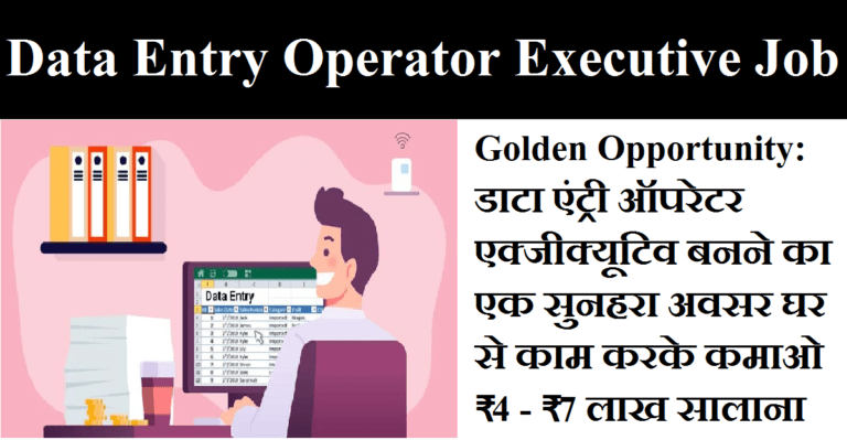 Data Entry Operator Executive Job