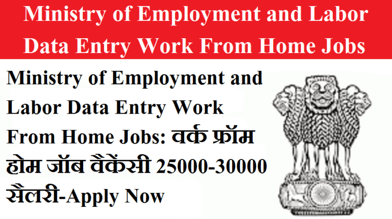 Ministry of Employment and Labor Data Entry Work From Home Jobs